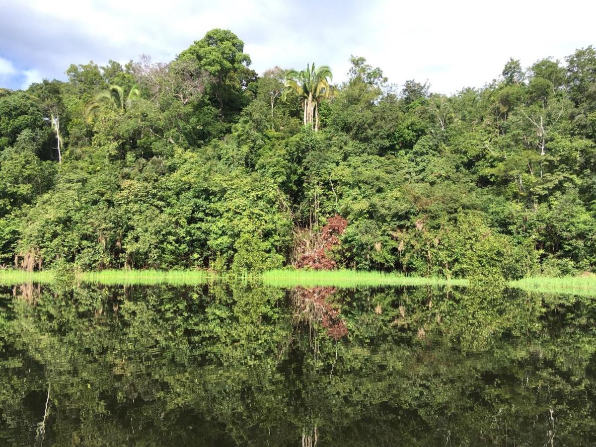 Amazon Arowana Lodge Careiro Экстерьер фото