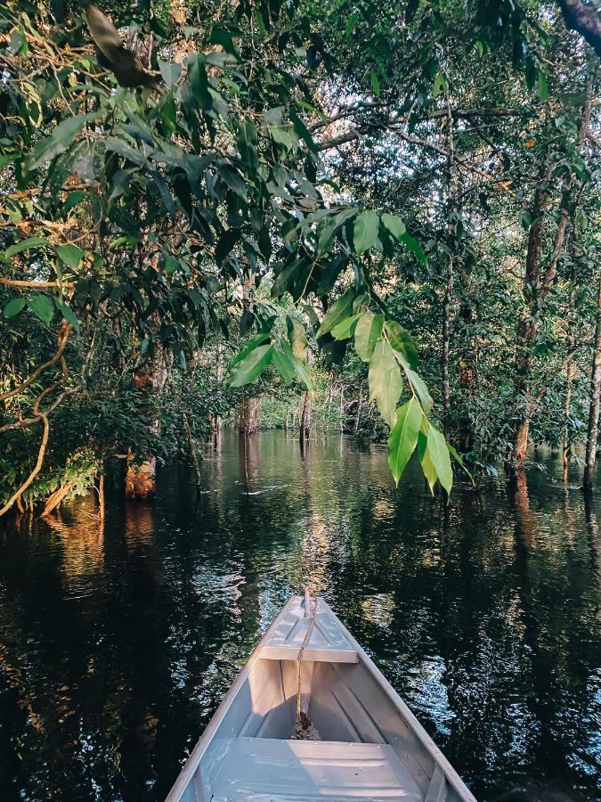 Amazon Arowana Lodge Careiro Экстерьер фото
