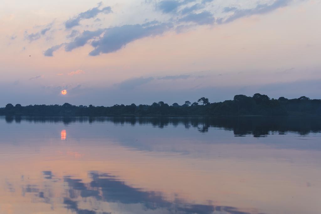 Amazon Arowana Lodge Careiro Экстерьер фото