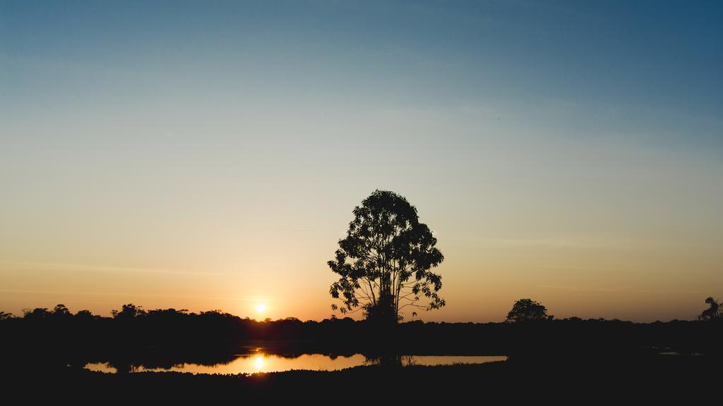 Amazon Arowana Lodge Careiro Экстерьер фото