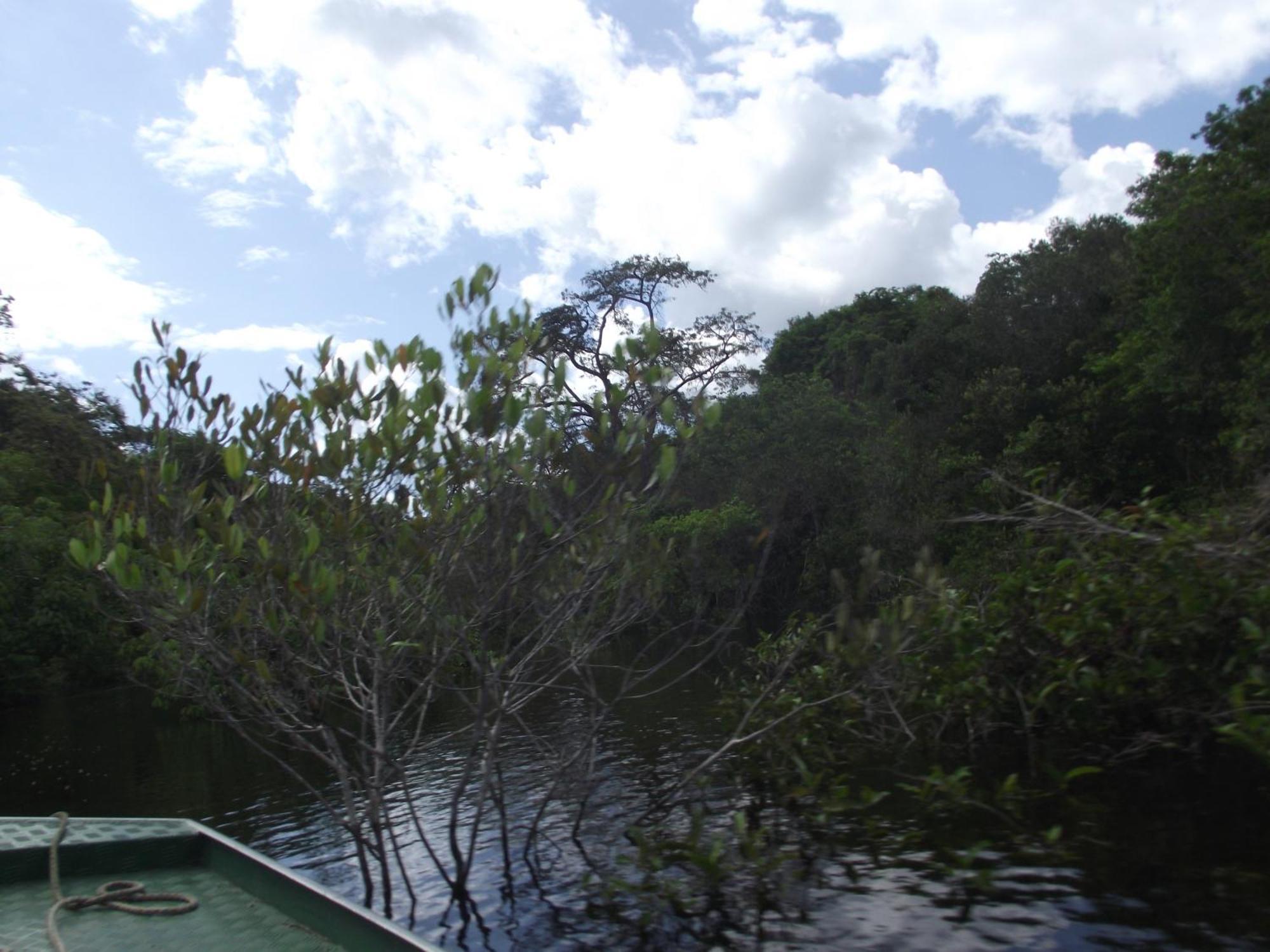 Amazon Arowana Lodge Careiro Экстерьер фото