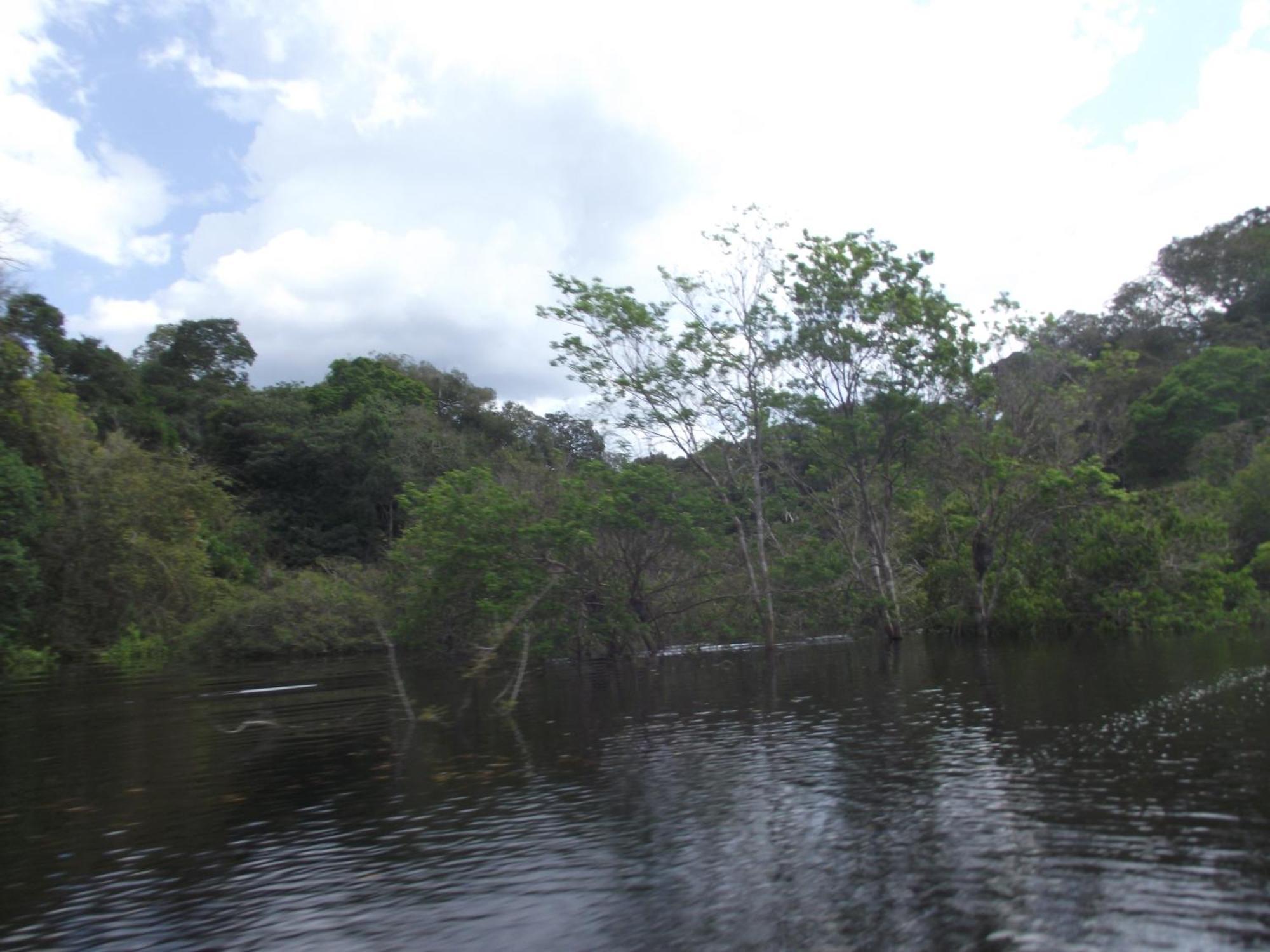 Amazon Arowana Lodge Careiro Экстерьер фото